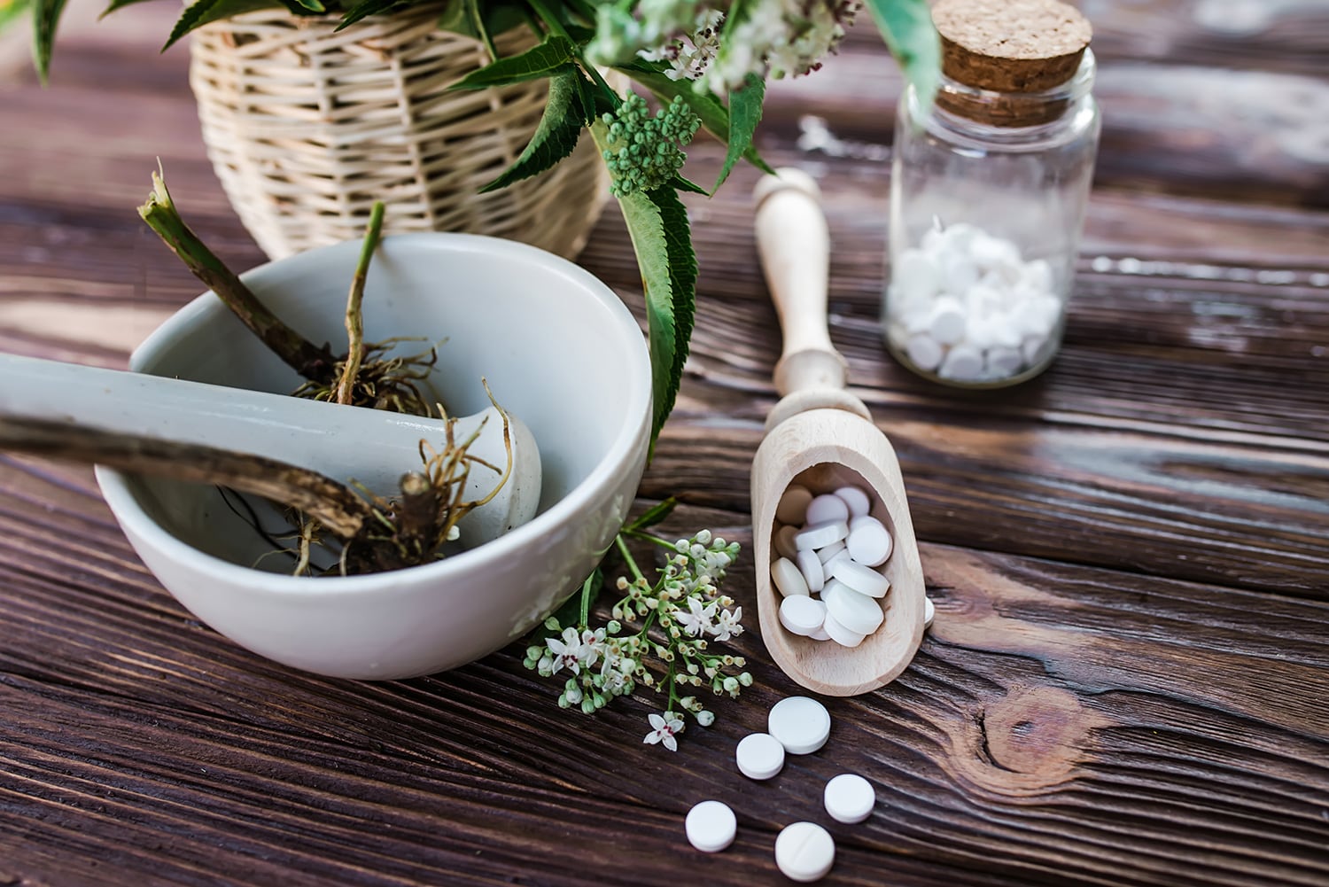homeopathy-vs-naturopathy
